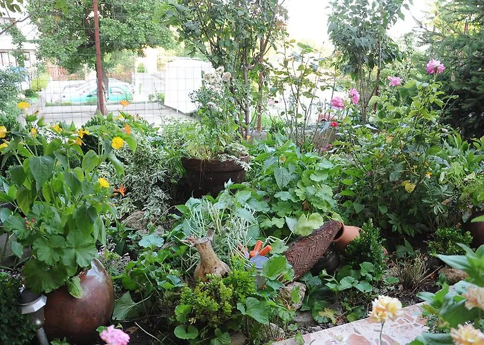 Отель Babeva Свети-Влас