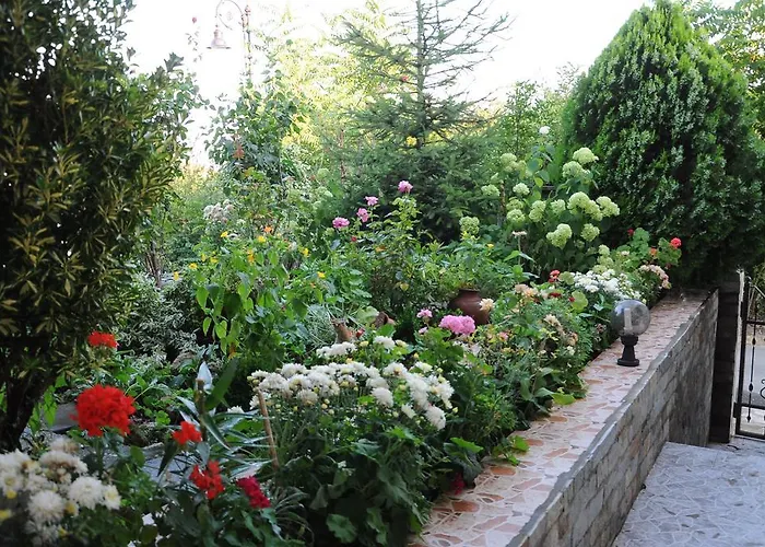 Babeva Свети-Влас