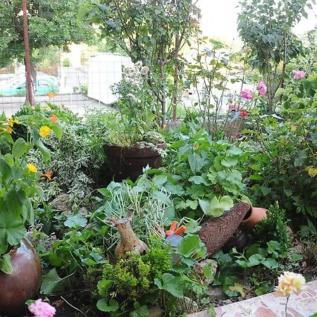 호텔 Babeva 스베티 블라스